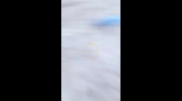 Ketika Host Gemoy Salsa di Genjot Pacarnya Mendesah Enak